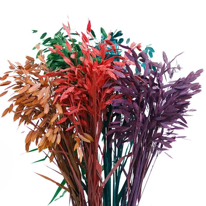 Bluejw Natural Dried Flower Bouquet Pampas Grass Floral Arrangement - Preserved Northern Sea Oats & Chasmanthium Latifolium - Decorative Dried Plants Home Decor - Image 4