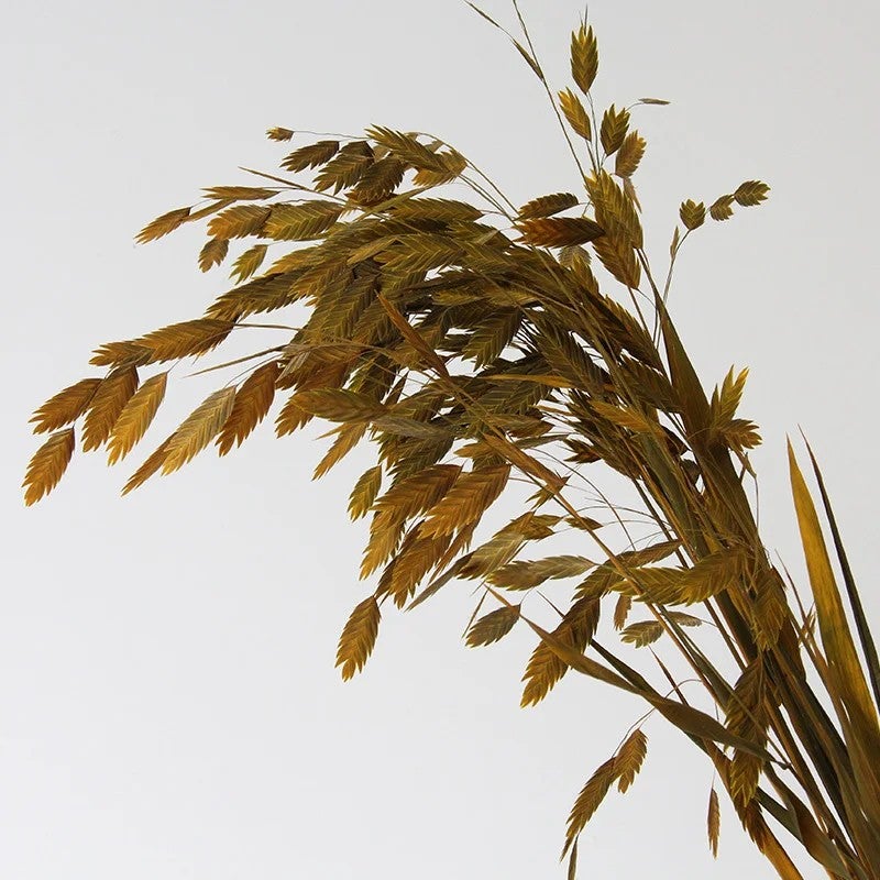 Bluejw Natural Dried Flower Bouquet Pampas Grass Floral Arrangement - Preserved Northern Sea Oats & Chasmanthium Latifolium - Decorative Dried Plants Home Decor - Image 1