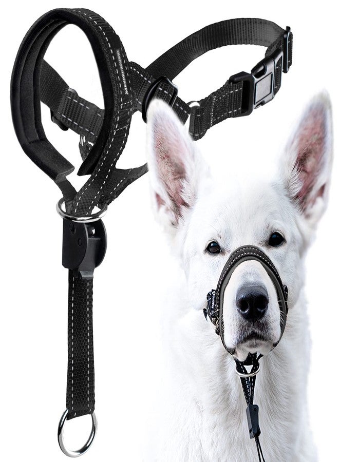 GoodBoy Dog Head Halter with Safety Strap - Stops Heavy Pulling On The Leash - Padded Headcollar for Small Medium and Large Dog Sizes - Head Collar Training Guide Included (Size 2, Black) - Image 1