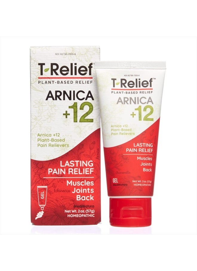 MediNatura T-Relief Arnica +12 Gel Natural Actives for Back Joint Soreness Muscle Aches & Stiffness Whole Body Fast Acting Homeopathic Rub for Women & Men - 2 oz  - Image 1