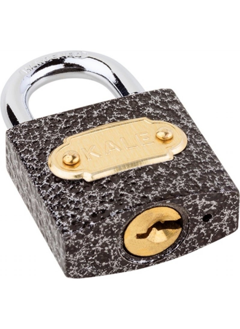 KALE Padlock Cast Iron 30 mm Two-Way Silver - White 1 Piece 