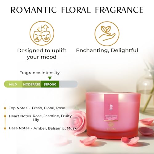 EKAM 3 Wick Soy Wax Scented Candle | Rose Fragrance | 35 Hr Burn | Long Lasting Premium Jar Candle for Home Decor, Relaxation & Gifting - Image 5