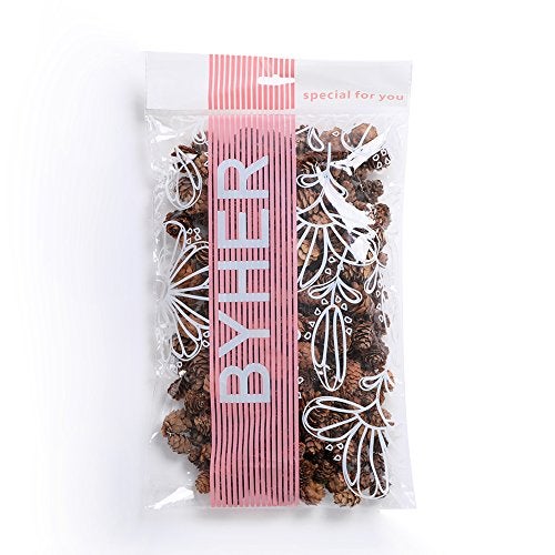 BYHER Pine Cones, Mini Pinecones in Bulk for Crafts, 8OZ, Pack of 110 (Natural) - Image 2