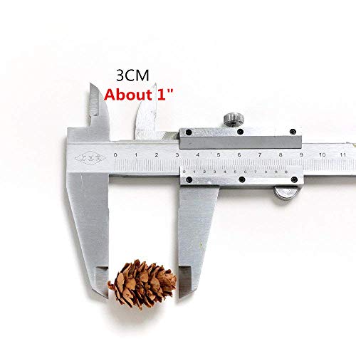 BYHER Pine Cones, Mini Pinecones in Bulk for Crafts, 8OZ, Pack of 110 (Natural) - Image 4