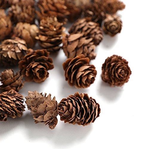 BYHER Pine Cones, Mini Pinecones in Bulk for Crafts, 8OZ, Pack of 110 (Natural) - Image 3