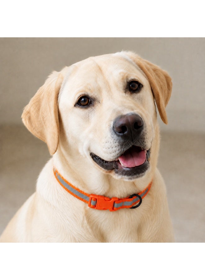 Bravo Reflective Nylon Collar for Small Dogs, Adjustable Neck Size up to 35cm (14in), Available in Yellow, Orange and Red - Image 1