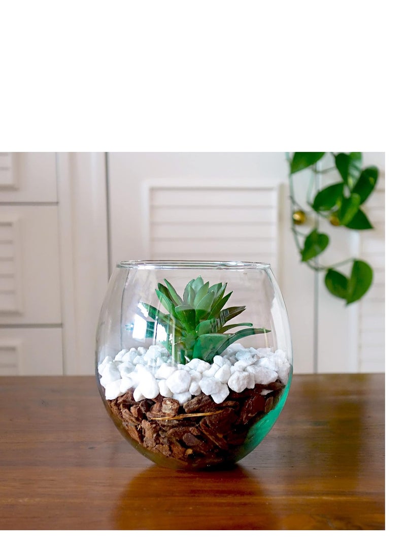 general Round glass vase with artificial cactus - Image 1