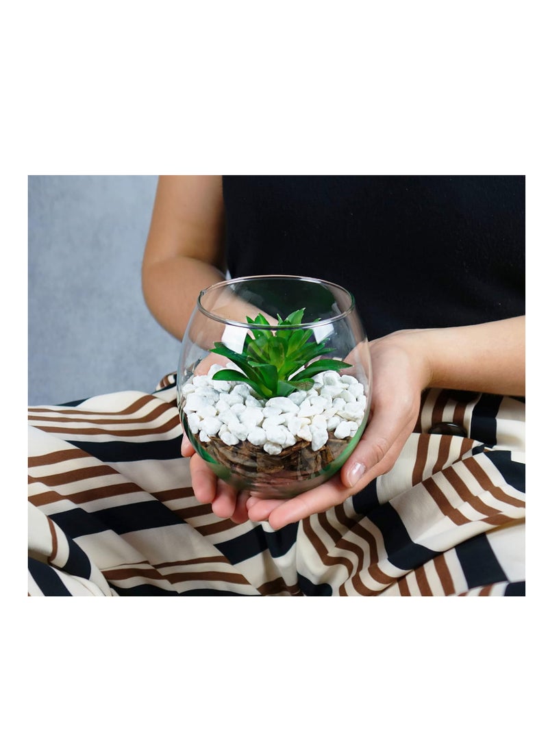 general Round glass vase with artificial cactus - Image 2