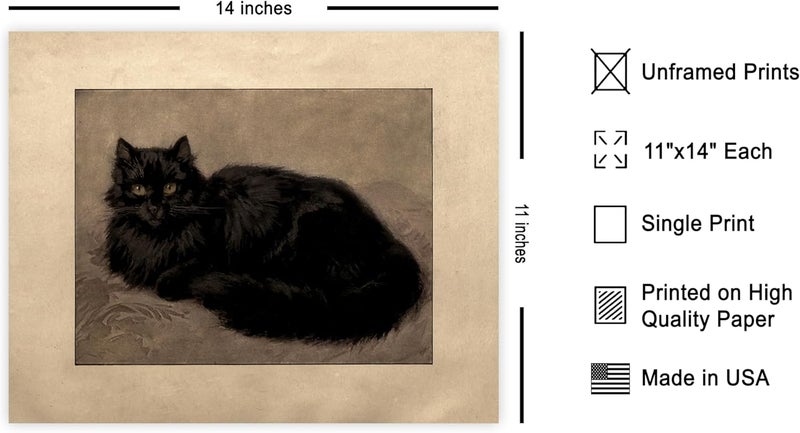 Poster Master Vintage Black Persian Cat Poster - Image 2