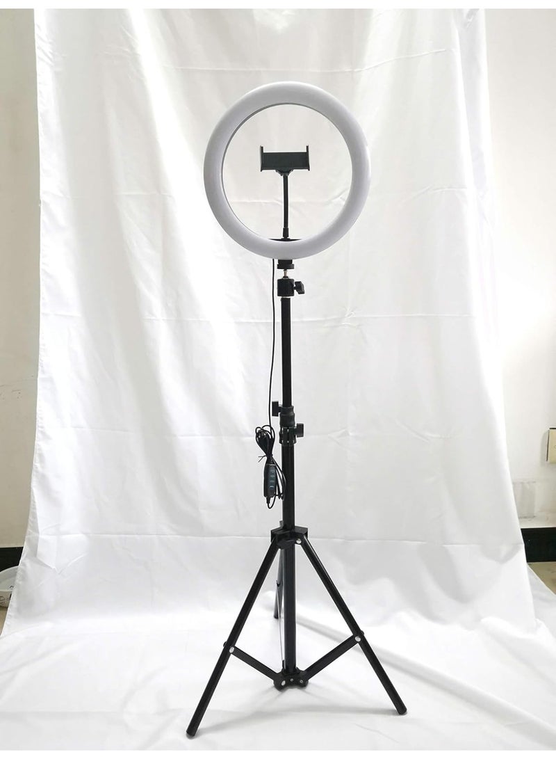 10-Inch LED Ring Light with Tripod Stand – 3 Color Modes, 8 Brightness Levels, USB Powered with Phone Holder – Black - Image 2