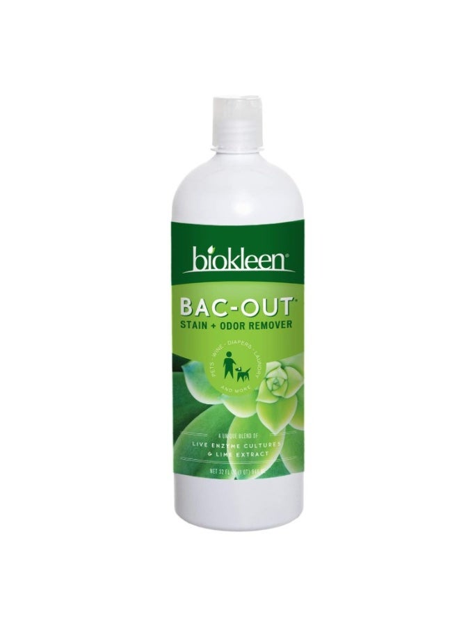 بيوكلين مزيل البقع والروائح Biokleen Bac-Out – يقضي على البقع والروائح بأمان؛ مناسب لبقع الحيوانات الأليفة، والملابس، والحفاضات، وبقع النبيذ، والسجاد، وغيرها. منتج صديق للبيئة، وغير سام، ومصنوع من مكونات نباتية. الحجم: 32 أونصة سائلة (عبوة من 12 قطعة). - Image 1