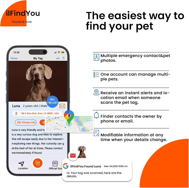 طوق كلب عاكس مع بطاقة رمز الاستجابة السريعة، طوق كلب مخصص، رؤية ليلية آمنة، وظيفة مضادة للضياع (أحمر، كبير) - Image 2