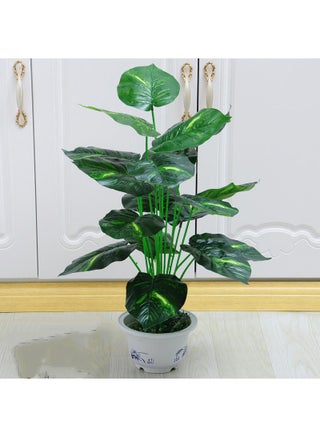 Green06