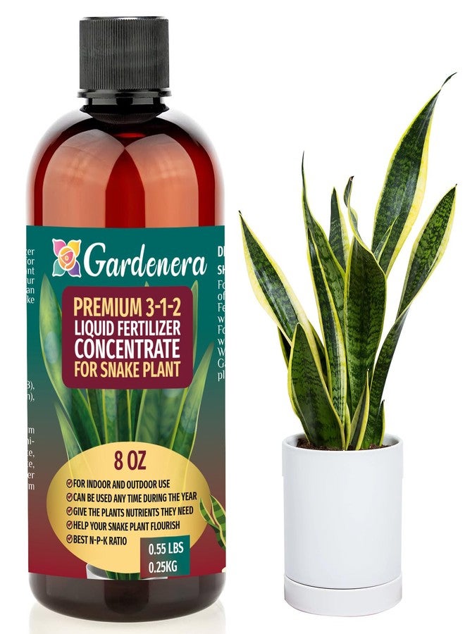 Gardenera Premium Liquid Snake Plant Fertilizer - 3-1-2 Concentrate for Indoor Plants and Flowers by Gardenera | Organic Plant Food for Snake Plants - 8oz - Image 1