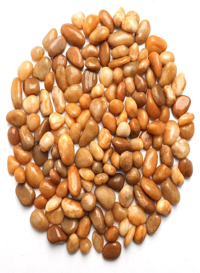 RooTrimmer 5 Lbs River Rocks for Plants,0.4-1.2 Inch Decorative Ornamental Pebbels, High Polished Stones for Garden Landscaping, Smooth Gravel Filler for Outdoor Plants, Succulents, Fish Tank and Vases, Yellow - Image 1