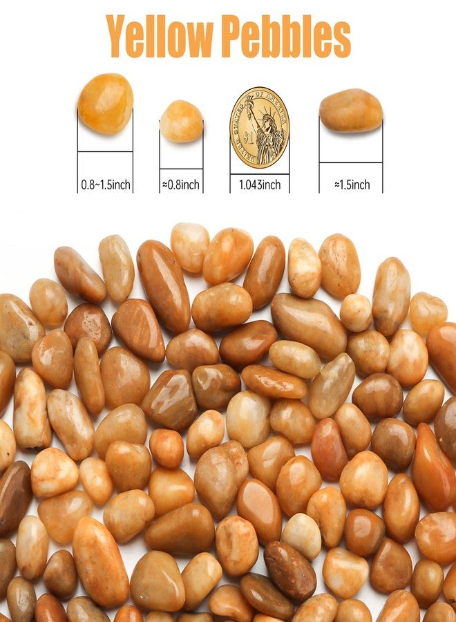 RooTrimmer 5 Lbs River Rocks for Plants,0.4-1.2 Inch Decorative Ornamental Pebbels, High Polished Stones for Garden Landscaping, Smooth Gravel Filler for Outdoor Plants, Succulents, Fish Tank and Vases, Yellow - Image 2