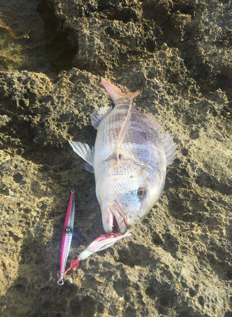 Barakah Fishing Squid Skirts Glow Lures Luminous Octopus SkirtsTrolling Lure Soft Plastic Fishing Bait for Bass Salmon Trout,9cm/3.54in, Pack of 10 - Image 4