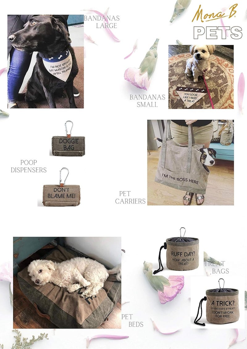 Mona B Canvas Pet Portable Treat Bag- Pampered Pooch, Silver - Image 3