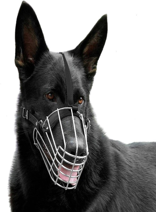D&C PAWS Dog Stainless Steel Mouth Cover Muzzle/Bite Guard with Adjustable Leather Strap Muzzle Ideal for Stopping Biting, Barking Dogs and Puppies (Black, Large) - Image 1