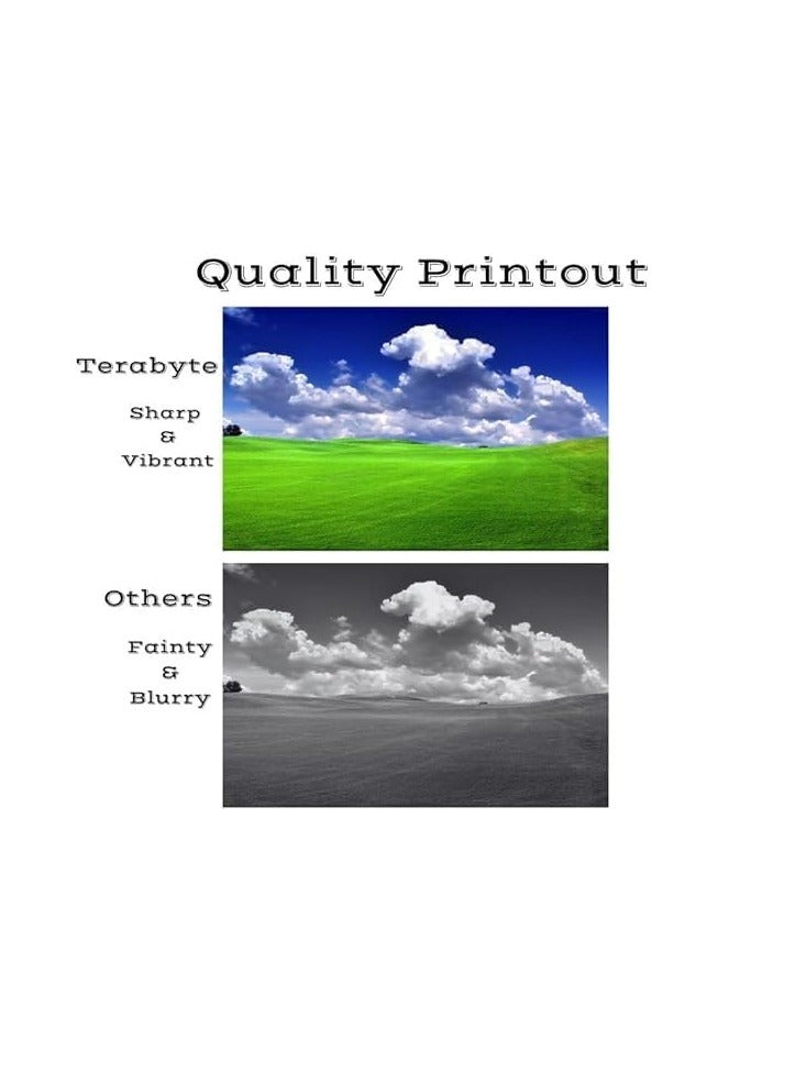 Terabyte 80X BLACK COMPATIBLE TONER - Image 3