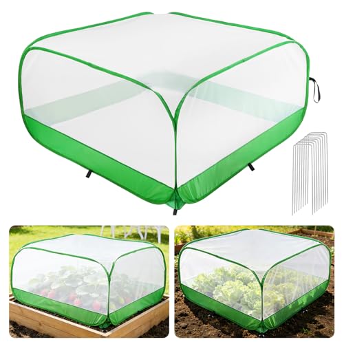 MADHOLLY Pop Up Garden Netting for Square Raised Beds - 3.3'L x 3.3'W x 1.65'H Ultra Fine Mesh Net Plant Cover with 8 Stakes, Protection for Vegetables Fruit from Birds Pests - Image 1