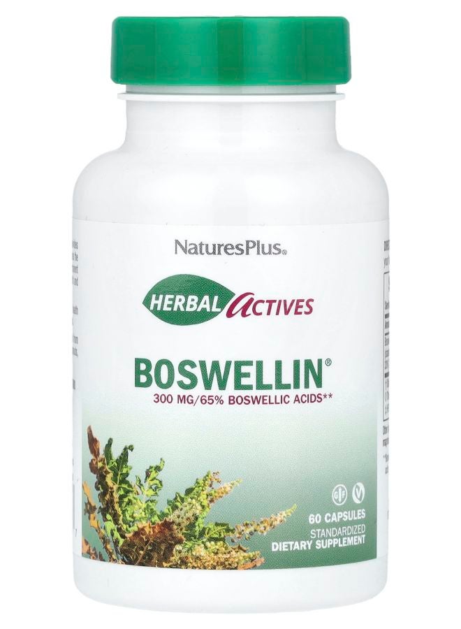 NaturesPlus Herbal Actives Boswellin® 300 mg 60 Capsules - Image 1