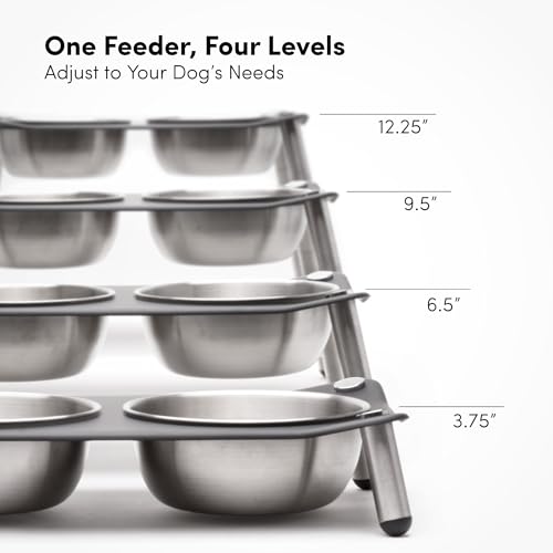 xympo Adjustable Elevated Dog Bowl 56 fl oz Stainless Steel Bowls - Image 3