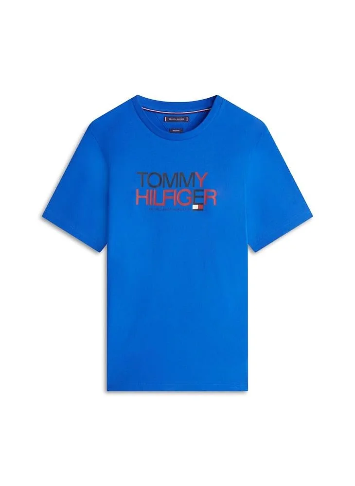 TOMMY HILFIGER  Logo Graphic Crew Neck T-Shirt for Men | Best Price UAE
