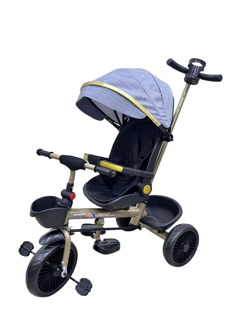 Luxury Multi-functional Kids' Tricycle and Stroller - Elegance, Safety, and Fun for Every Outing  - Image 2