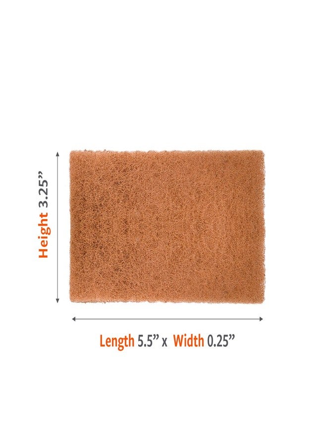 Full Circle Neat Nut - Walnut Scour Pads - 8pc - Image 2