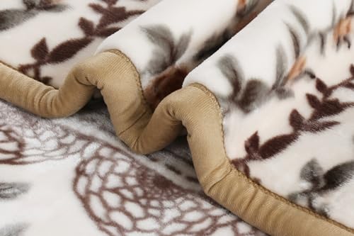 Nestl 9 Lbs Velvet Fleece Queen Size Blanket - 2 Ply Heavy & Warm Korean Style - Reversible Printed Raschel - Wrinkle & Fade Resistant - 79 x 94 Inches - Beige - Image 4