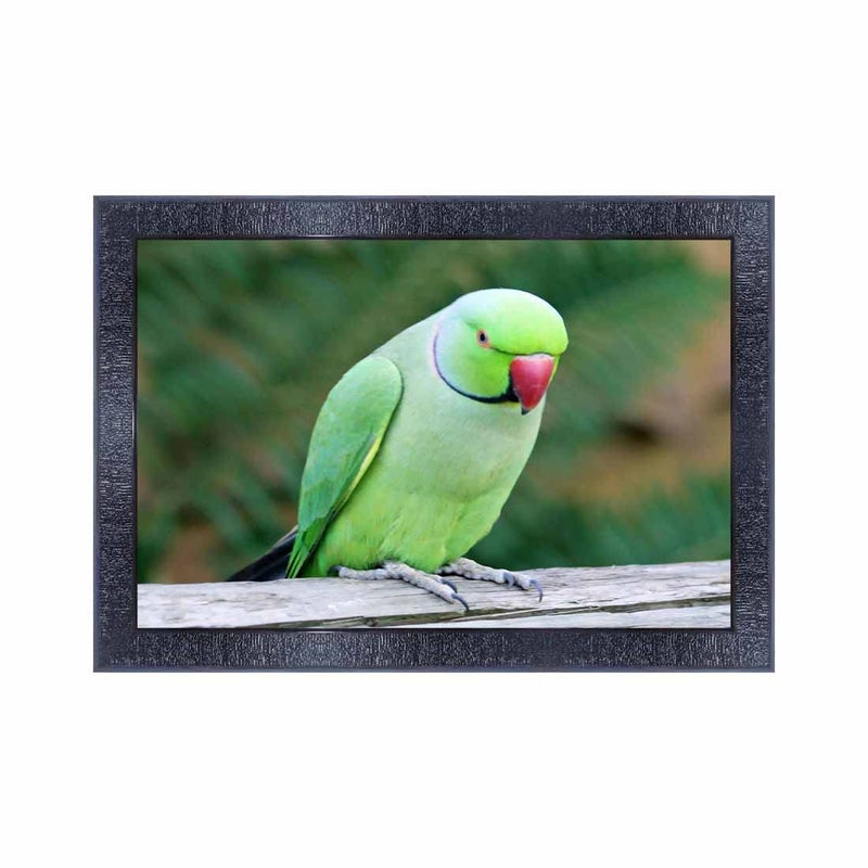 pnf Poster And Frames Parrot Framed Wall Painting | For Living Room, Bedroom | Home Decoration Item | Best Gifting Option (10 * 14inch,Multicolour,Synthetic) 19502 - Image 5