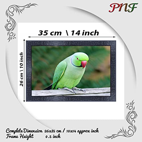 pnf Poster And Frames Parrot Framed Wall Painting | For Living Room, Bedroom | Home Decoration Item | Best Gifting Option (10 * 14inch,Multicolour,Synthetic) 19502 - Image 2