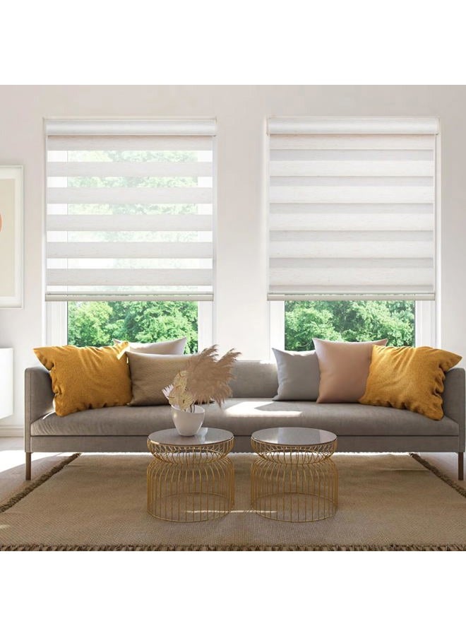 Changshade Cordless Zebra Roller Shade with Valance, Double Layered Window Blind for Day and Night, Light Filtering Window Treatment with Mesh and Opaque Fabric, 24 inches Wide, Beige RBS24BG72A - Image 1