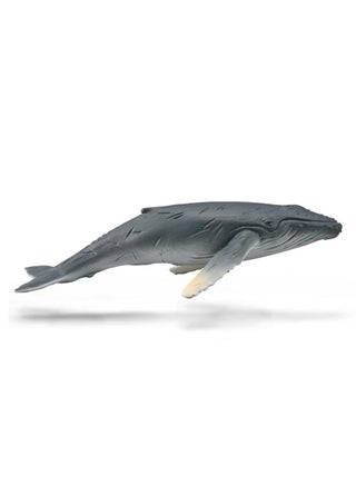 Collecta - Humpback Whale Calf - 88963 - pzsku/ZABE36876BADDEB635664Z/45/_/1730105321/c519926c-c0fa-47a3-a9ef-00e76962045d