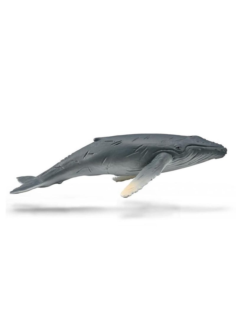 Collecta - Humpback Whale Calf - 88963