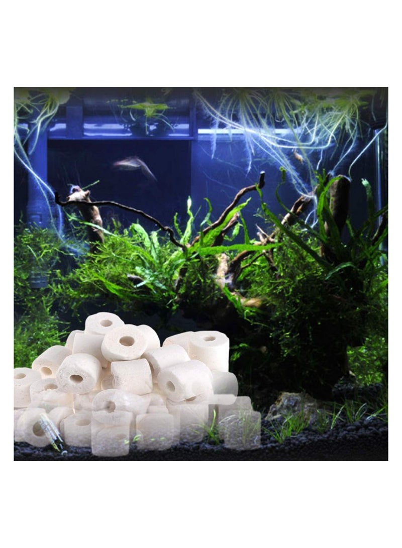 Generic TAMAM AQUARIUM Xinyou Ceramic Bio Ring Aquarium Fish Tank Bio Filtration with Zip Bag (Ceramic Ring 500G) - Image 2