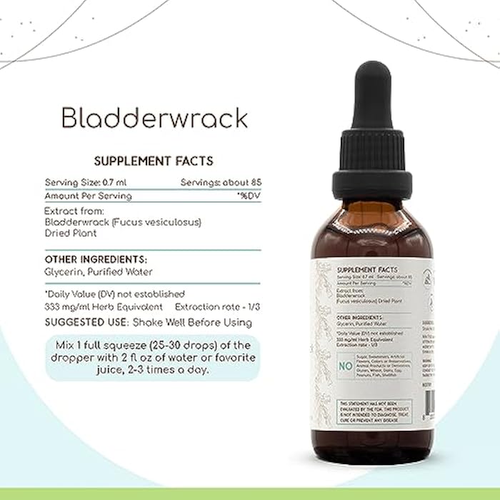HerbEra Bladderwrack B60 Alcohol-Free Herbal Extract Tincture, Concentrated Liquid Drops Natural Bladderwrack (Fucus Vesiculosus) Dried Plant (2 fl oz) - Image 3