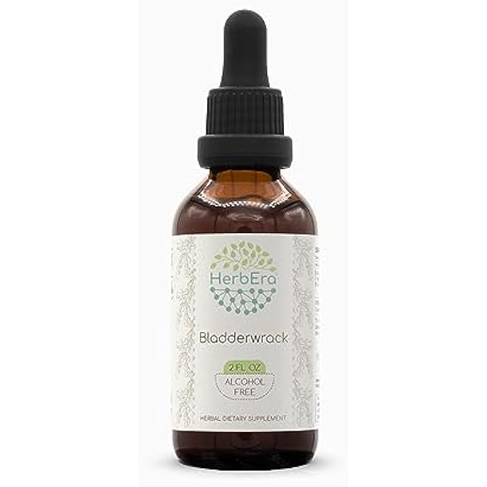 HerbEra Bladderwrack B60 Alcohol-Free Herbal Extract Tincture, Concentrated Liquid Drops Natural Bladderwrack (Fucus Vesiculosus) Dried Plant (2 fl oz) - Image 1