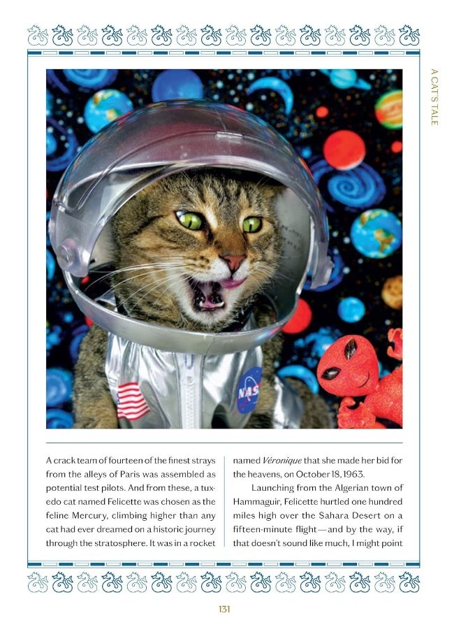 null - A Cat's Tale: A Journey Through Feline History - Image 1