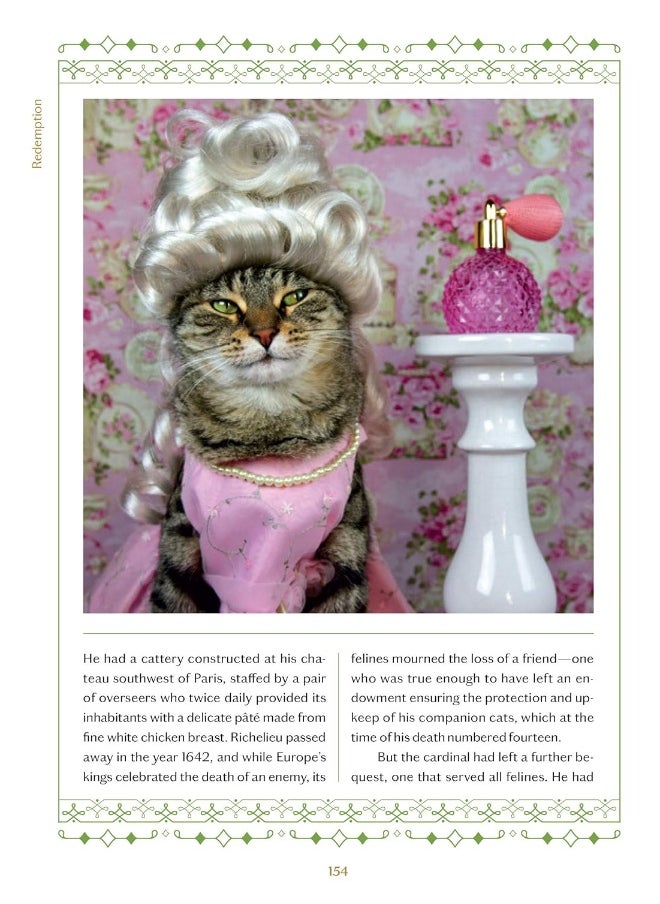 null - A Cat's Tale: A Journey Through Feline History - Image 1