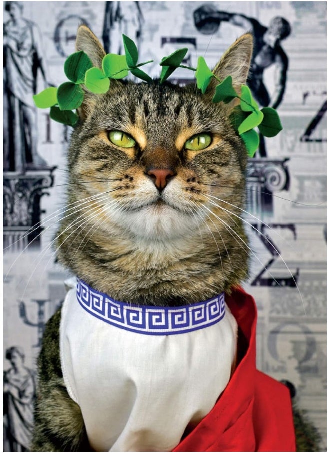 null - A Cat's Tale: A Journey Through Feline History - Image 1