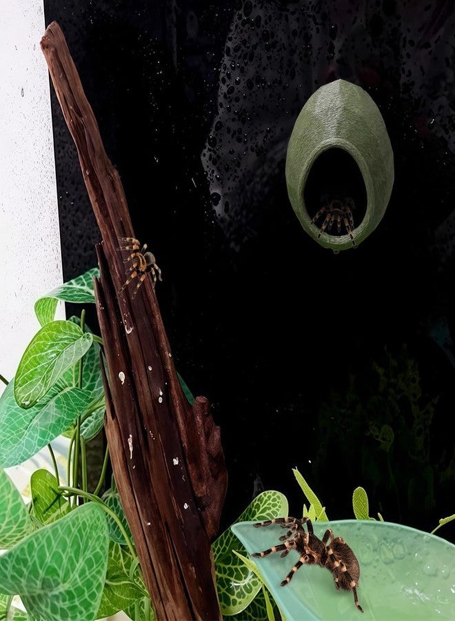 DQITJ 1 Pack Jumping Spider Nest Spider Hide Tree Frog Habitat Accessories Hermit Crab Climbing Hideout (Green) - Image 3