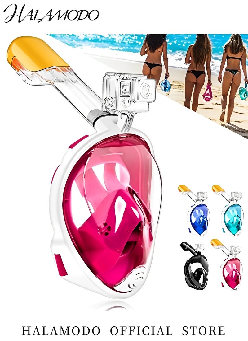 HALAMODO Full Face Snorkel Mask with Latest Dry Top Safe Breathing System Foldable 180 Degree Panoramic View Snorkeling Gear with Professional Anti-fog & Anti-leak Design for Adults  - Image 2