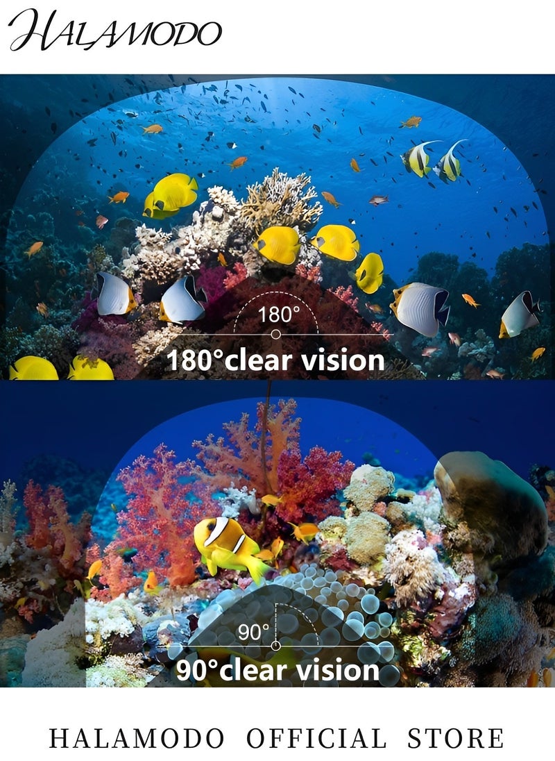 HALAMODO Full Face Snorkel Mask with Latest Dry Top Safe Breathing System Foldable 180 Degree Panoramic View Snorkeling Gear with Professional Anti-fog & Anti-leak Design for Adults  - Image 4