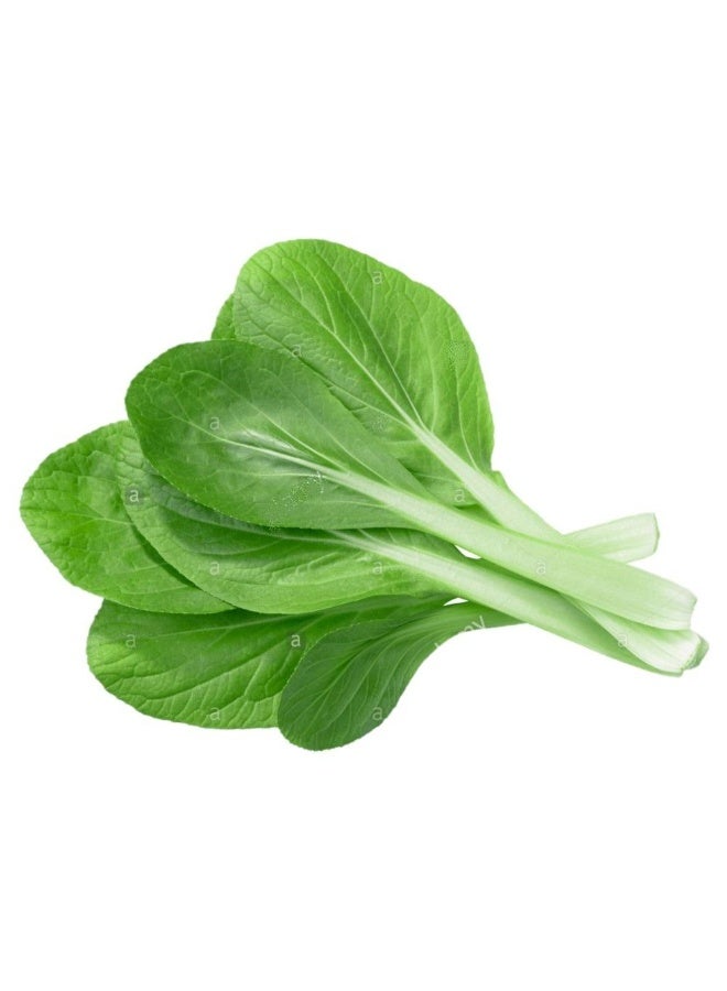Pakchoi , 70g to 90g per bunch, UAE