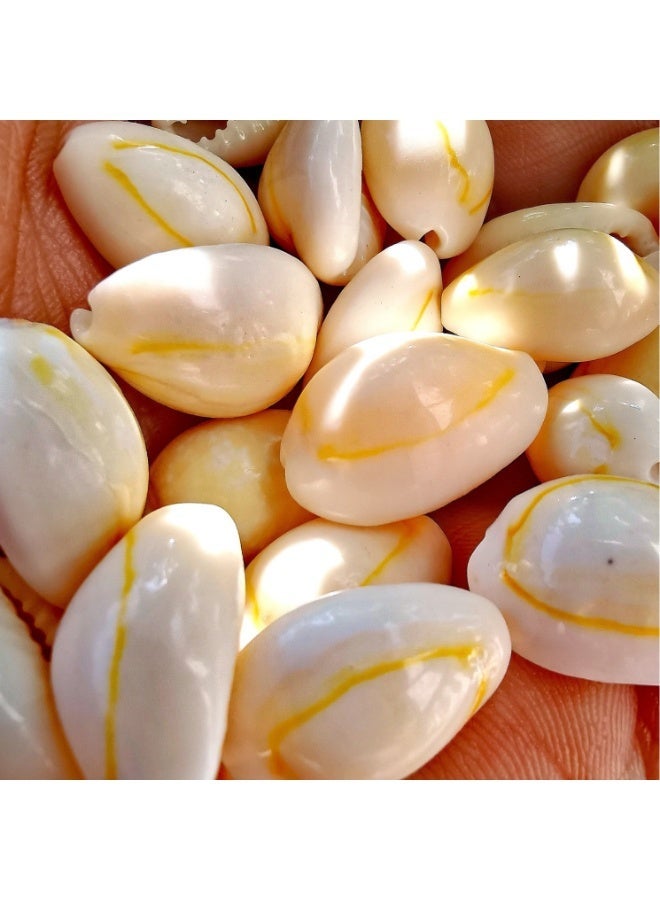 الواحة-TH 60 قطعة من القطع الطبيعية حلبة القشرة الخرز ثقب كبير قذائف البحر شاطئ قذائف Cowrie سحر وخرز DIY الحرفية المجوهرات صنع الملحقات (18 ~ 25mm) - Image 4
