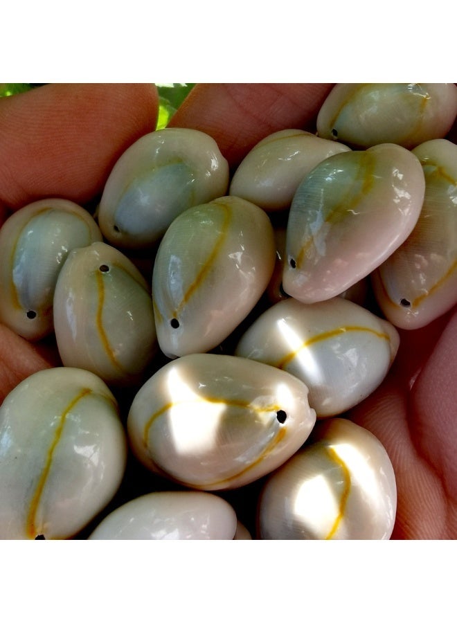 الواحة-TH 60 قطعة من القطع الطبيعية حلبة القشرة الخرز ثقب كبير قذائف البحر شاطئ قذائف Cowrie سحر وخرز DIY الحرفية المجوهرات صنع الملحقات (18 ~ 25mm) - Image 2