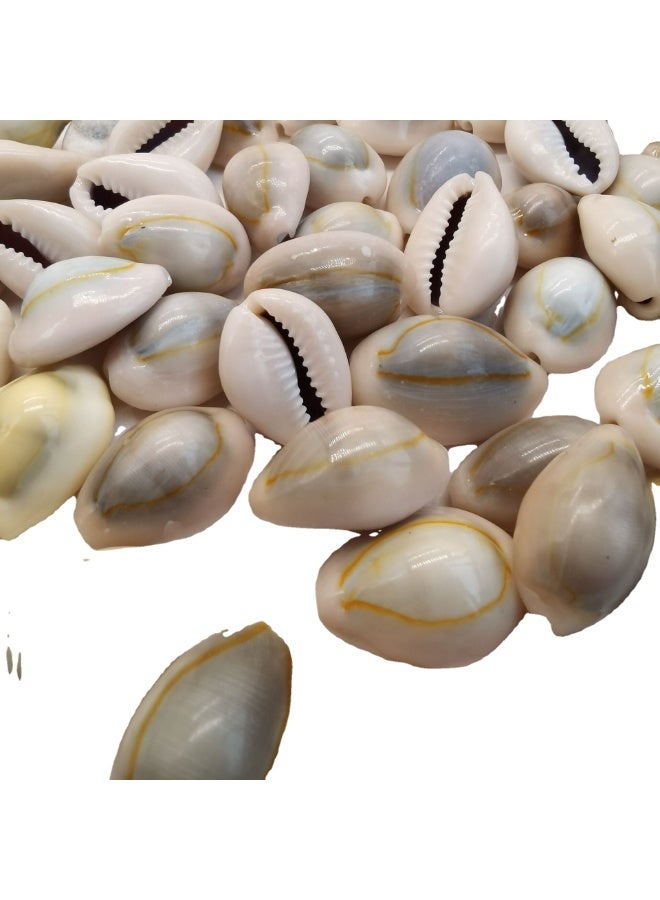 الواحة-TH 60 قطعة من القطع الطبيعية حلبة القشرة الخرز ثقب كبير قذائف البحر شاطئ قذائف Cowrie سحر وخرز DIY الحرفية المجوهرات صنع الملحقات (18 ~ 25mm) - Image 3