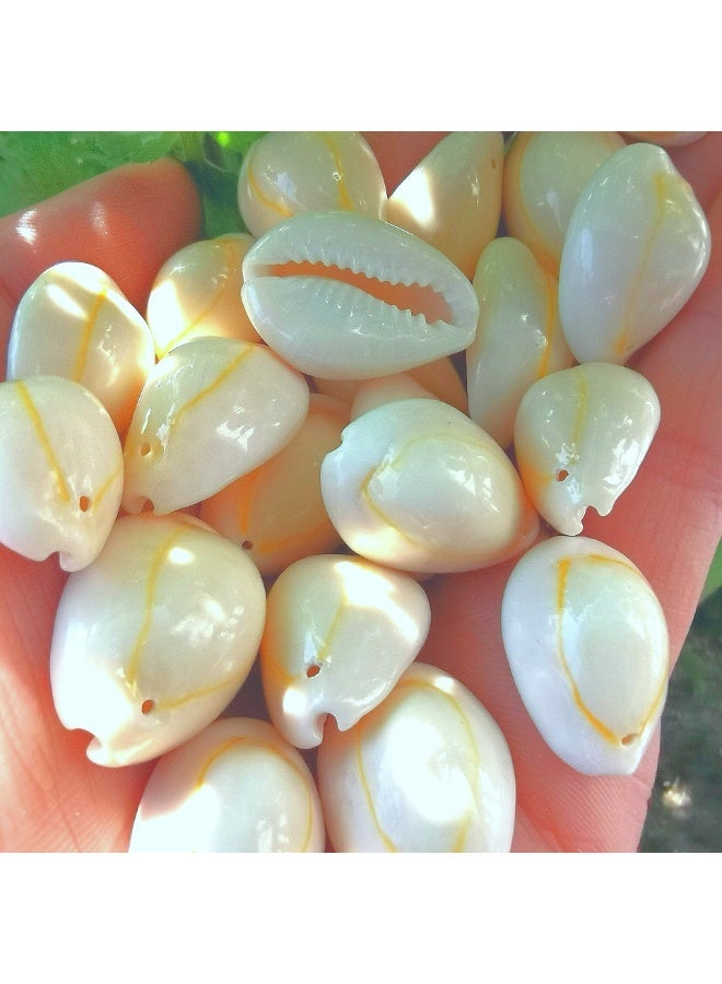 الواحة-TH 60 قطعة من القطع الطبيعية حلبة القشرة الخرز ثقب كبير قذائف البحر شاطئ قذائف Cowrie سحر وخرز DIY الحرفية المجوهرات صنع الملحقات (18 ~ 25mm) - Image 5